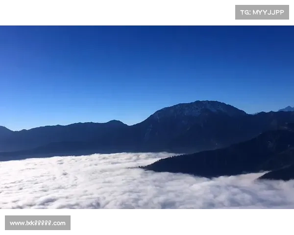 达瓦赛事;激情达瓦赛事盛大开幕全球精英汇聚角逐巅峰荣耀共创辉煌新篇章